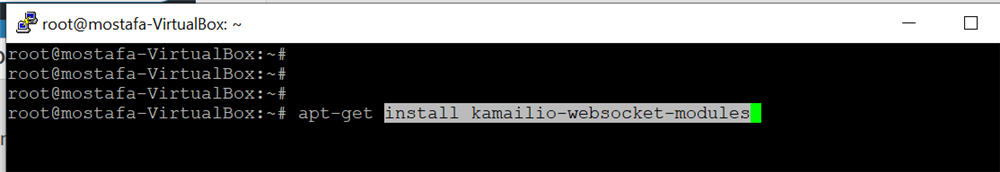 install-kamailio-in-ubuntu-4